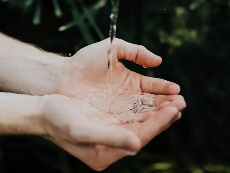 Sustainability and the importance